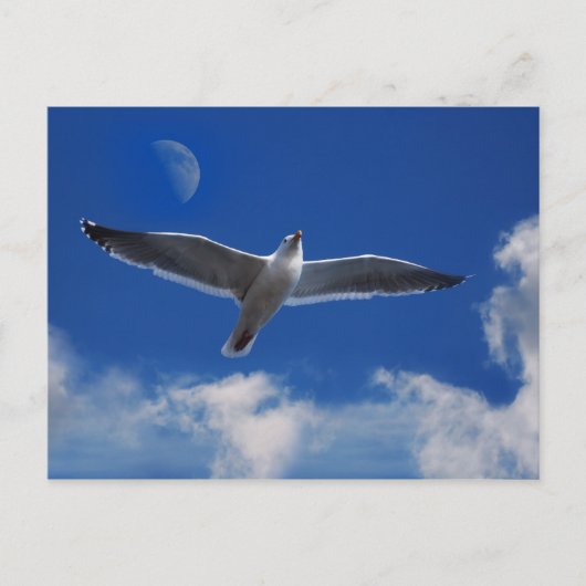 Kom met me mee. briefkaart (Voorkant)