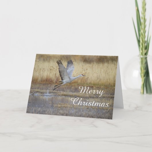 Kom met me mee. feestdagen kaart (Voorkant)