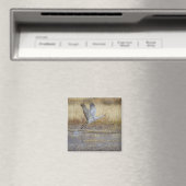 Kom met me vliegen Sandhill Crane Magneet (Insitu (Vaatwasser))