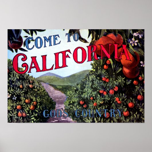 Kom naar California Graphic Poster (Voorkant)