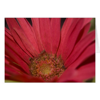 Kom naar je zintuigenkaart