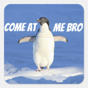 Kom naar me toe, Bro Meme Penguin Vierkante Sticker