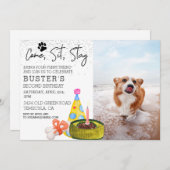 Kom op, blijf zitten, hond, geboortedag kaart (Voorkant / Achterkant)