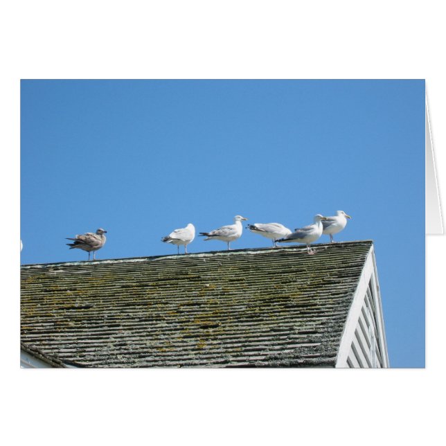 Kom samen (Voorkant Horizontaal)