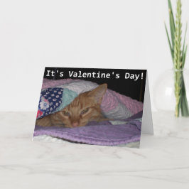 Kom Snuggle Cat Valentijn Feestdagen Kaart