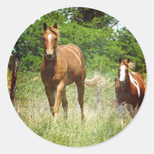 Kom wanneer geroepen, Twee Paarden Ronde Sticker