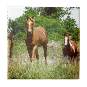 Kom wanneer geroepen, Twee Paarden Tegeltje