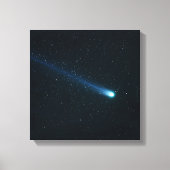 Komaan in Night Sky Canvas Afdruk (Voorkant)