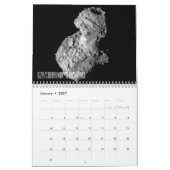 Kometen & planetoïden kalender (Jan 2027)