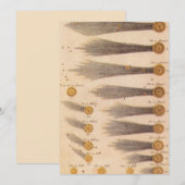 Kometen van Stanislaw Lubieniecki,  sterrenkunde (Voorkant / Achterkant)