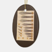 Kometen van Stanislaw Lubieniecki,  sterrenkunde Keramisch Ornament (Links)