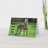 KOMIEK IERSE GREYHOUND GELUKKIG "60E VERJAARDAG" KAART (Voorkant)