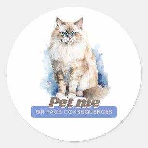 Komische kitten cadeaus voor kattenliefhebbers ronde sticker