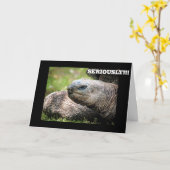 **KOMISCHE SCHILDPAD** ZEGT DAT JE NOOIT OUDER WOR KAART (Gele Bloem)