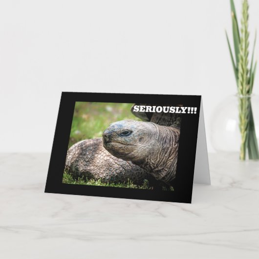 **KOMISCHE SCHILDPAD** ZEGT DAT JE NOOIT OUDER WOR KAART (Voorkant)