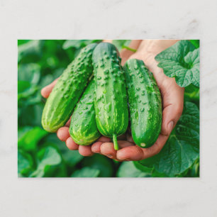 Komkommervariëteit uit de verse tuin feestdagenkaart