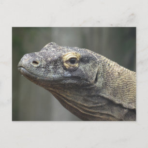 Komodo Draak Ansichtkaart Feestdagenkaart