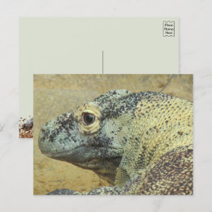 Komodo Draak Briefkaart