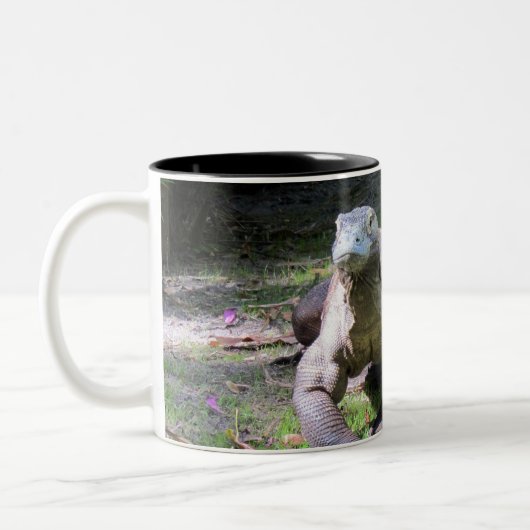 Komodo Dragon (0606) Mok (Links)