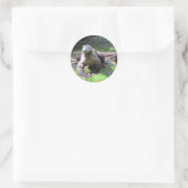 Komodo Dragon (0606) Stickers (Tas)