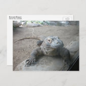 Komodo Dragon Briefkaart (Voorkant / Achterkant)