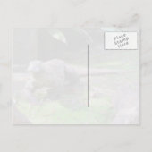 Komodo Dragon Briefkaart (Achterkant)