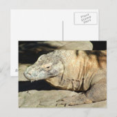 Komodo Dragon Briefkaart (Voorkant / Achterkant)
