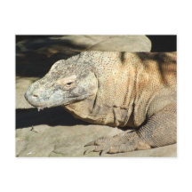 Komodo Dragon Briefkaart