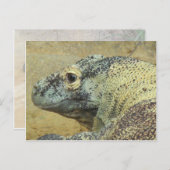 Komodo Dragon Briefkaart (Voorkant / Achterkant)