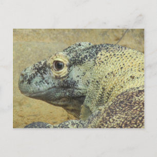 Komodo Dragon Briefkaart