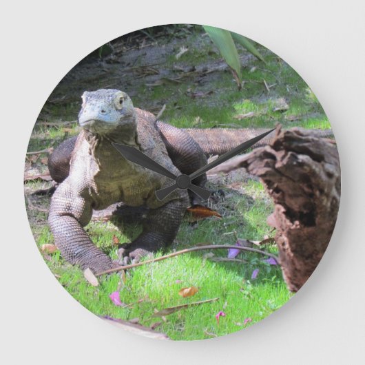 Komodo Dragon Clock Grote Klok (Voorkant)