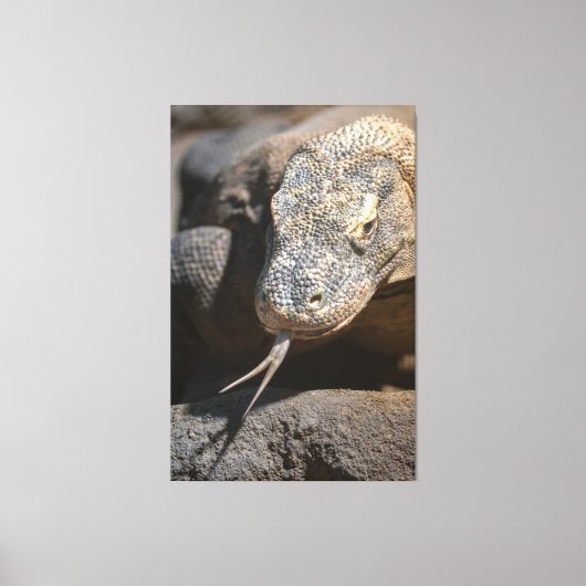 Komodo Dragon die zijn tong uittrekt Canvas Afdruk (Voorkant)