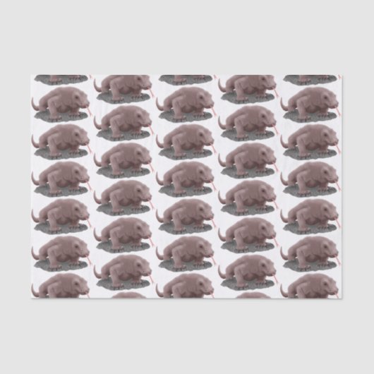 Komodo dragon illustratie tissuepapier (Voorkant)