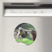 Komodo Dragon Magnet Magneet (Insitu (Vaatwasser))