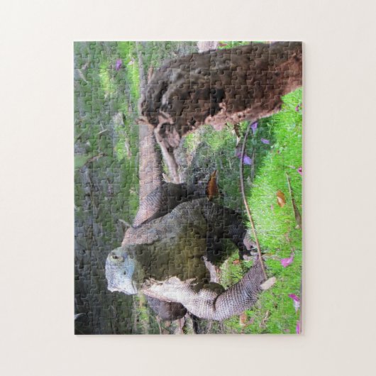 Komodo Dragon Puzzle (Vertical)