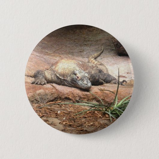 Komodo Dragon Ronde Button 5,7 Cm (Voorkant)