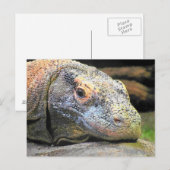 Komodo Dragon Sluiten Profiel Briefkaart (Voorkant / Achterkant)