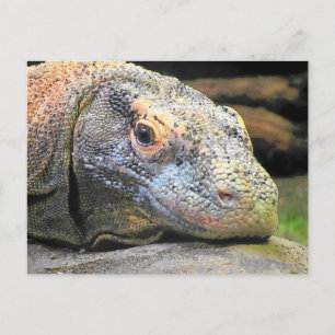 Komodo Dragon Sluiten Profiel Briefkaart