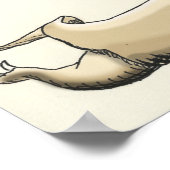 komodo dragon trivia poster (Hoek)