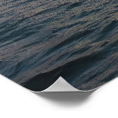 Komodo Ship en Sunset Poster (Hoek)