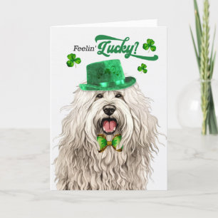 Komondor Dog Feelin' Lucky St Patrick's Day Feestdagen Kaart