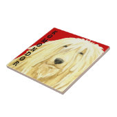 Komondor kleurenblok tegeltje (Zijkant)