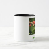 Kona-koffie Mok (Midden)