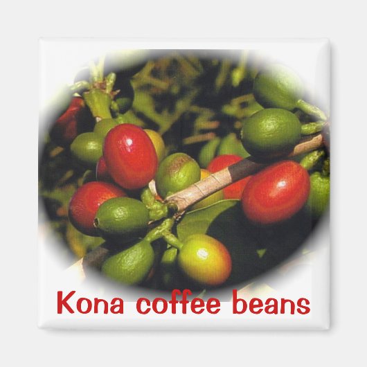 Kona koffiebonen magneet (Voorkant)