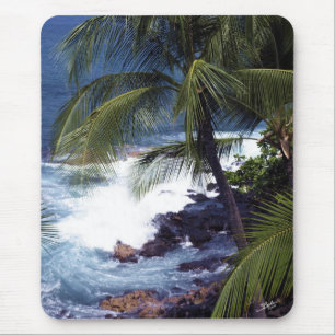 Kona kust 1 muismat