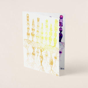 Kone cellen en cellen en bipolaire neuronen van de folie kaarten