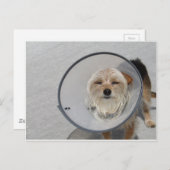 Kone Head Briefkaart (Voorkant / Achterkant)