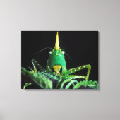Kone-Headed sprinkhaan Canvas Afdruk (Voorkant)