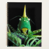 Kone-Headed sprinkhaan Planner (Voorkant)