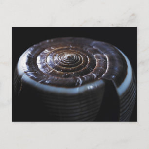 Kone schelp briefkaart